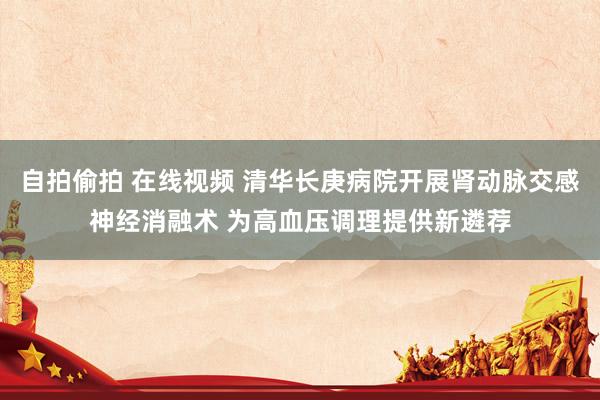 自拍偷拍 在线视频 清华长庚病院开展肾动脉交感神经消融术 为高血压调理提供新遴荐