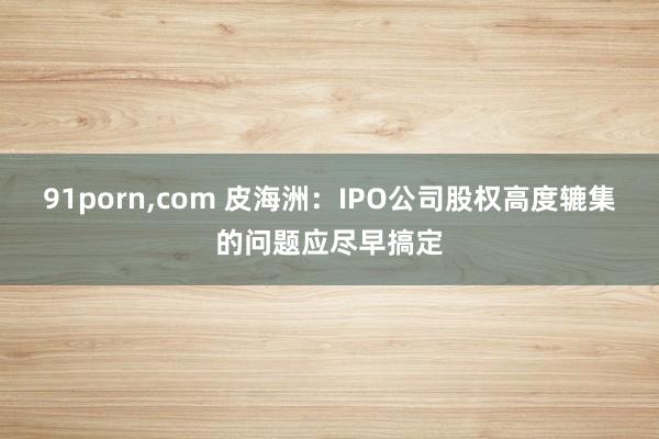 91porn，com 皮海洲：IPO公司股权高度辘集的问题应尽早搞定