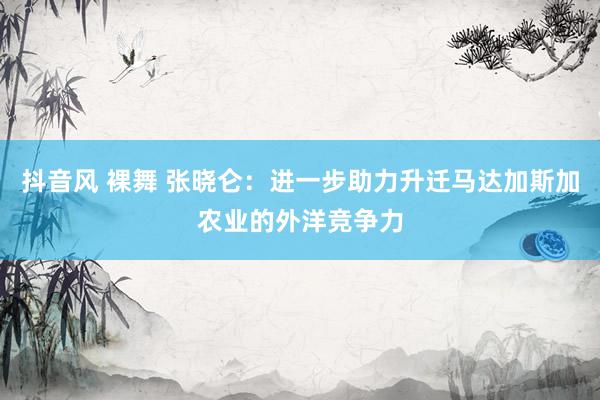 抖音风 裸舞 张晓仑：进一步助力升迁马达加斯加农业的外洋竞争力