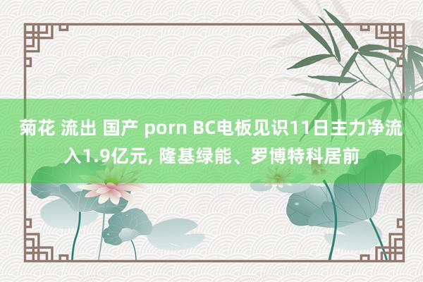 菊花 流出 国产 porn BC电板见识11日主力净流入1.9亿元， 隆基绿能、罗博特科居前