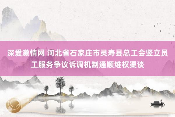 深爱激情网 河北省石家庄市灵寿县总工会竖立员工服务争议诉调机制通顺维权渠谈