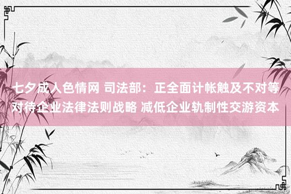 七夕成人色情网 司法部：正全面计帐触及不对等对待企业法律法则战略 减低企业轨制性交游资本