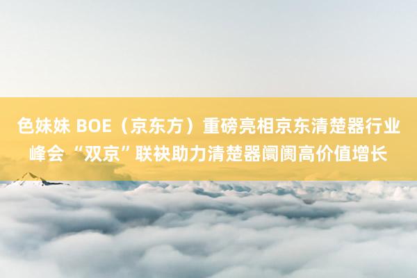 色妹妹 BOE（京东方）重磅亮相京东清楚器行业峰会 “双京”联袂助力清楚器阛阓高价值增长