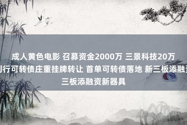 成人黄色电影 召募资金2000万 三景科技20万张定向刊行可转债庄重挂牌转让 首单可转债落地 新三板添融资新器具