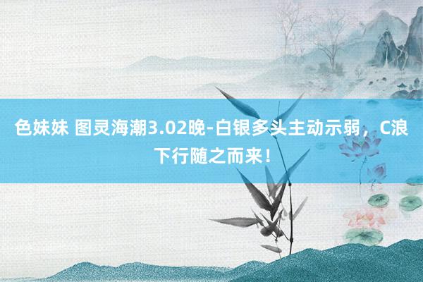 色妹妹 图灵海潮3.02晚-白银多头主动示弱，C浪下行随之而来！