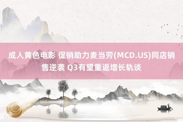 成人黄色电影 促销助力麦当劳(MCD.US)同店销售逆袭 Q3有望重返增长轨谈