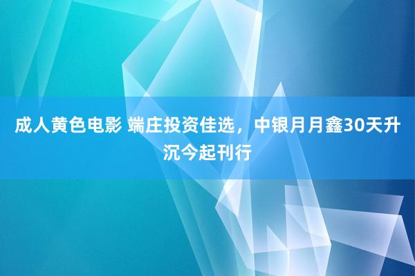 成人黄色电影 端庄投资佳选，中银月月鑫30天升沉今起刊行