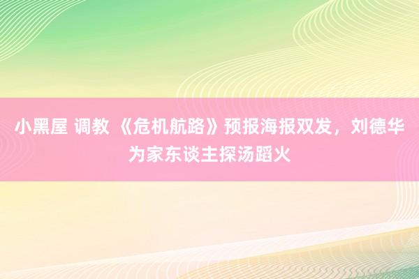 小黑屋 调教 《危机航路》预报海报双发，刘德华为家东谈主探汤蹈火