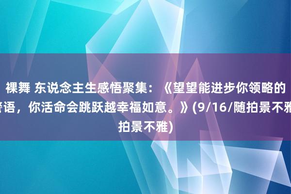 裸舞 东说念主生感悟聚集：《望望能进步你领略的警语，你活命会跳跃越幸福如意。》(9/16/随拍景不雅)