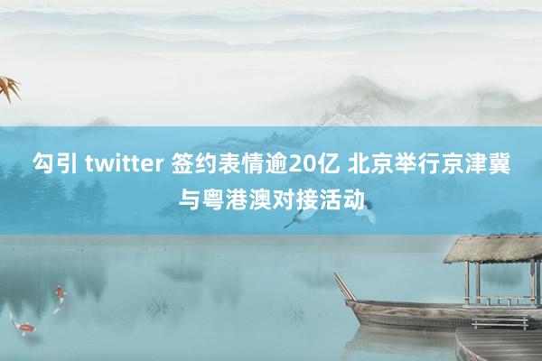 勾引 twitter 签约表情逾20亿 北京举行京津冀与粤港澳对接活动