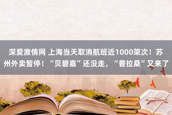 深爱激情网 上海当天取消航班近1000架次！苏州外卖暂停！“贝碧嘉”还没走，“普拉桑”又来了