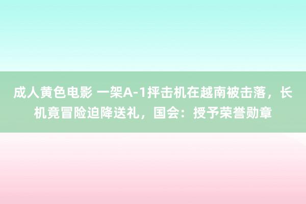 成人黄色电影 一架A-1抨击机在越南被击落，长机竟冒险迫降送礼，国会：授予荣誉勋章