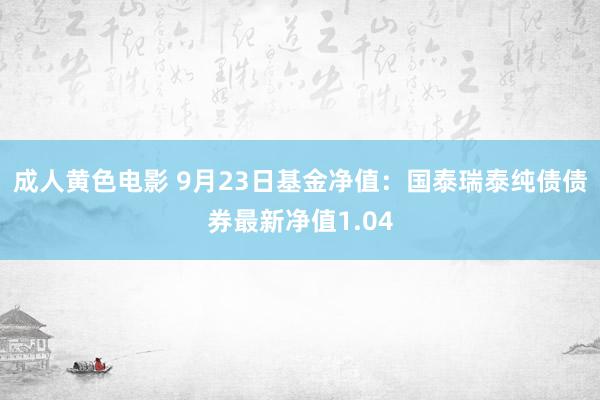 成人黄色电影 9月23日基金净值：国泰瑞泰纯债债券最新净值1.04