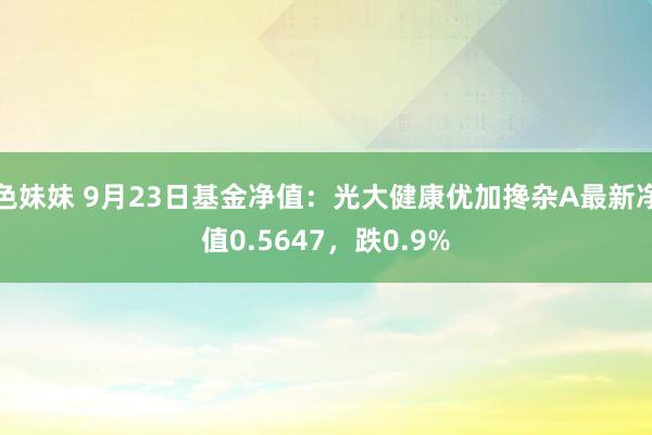 色妹妹 9月23日基金净值：光大健康优加搀杂A最新净值0.5647，跌0.9%