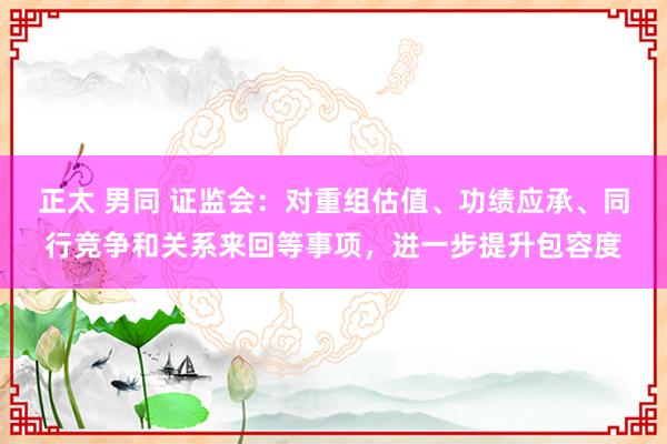 正太 男同 证监会：对重组估值、功绩应承、同行竞争和关系来回等事项，进一步提升包容度