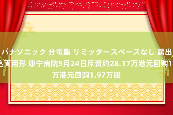 パナソニック 分電盤 リミッタースペースなし 露出・半埋込両用形 康宁病院9月24日斥资约28.17万港元回购1.97万股