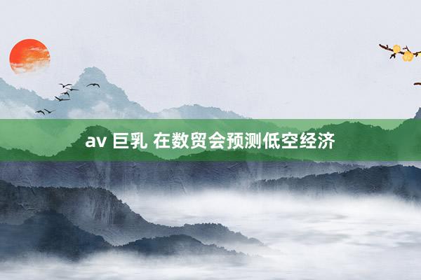 av 巨乳 在数贸会预测低空经济