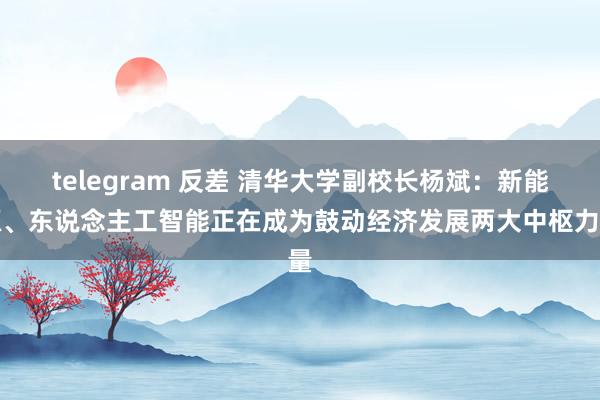 telegram 反差 清华大学副校长杨斌：新能源、东说念主工智能正在成为鼓动经济发展两大中枢力量