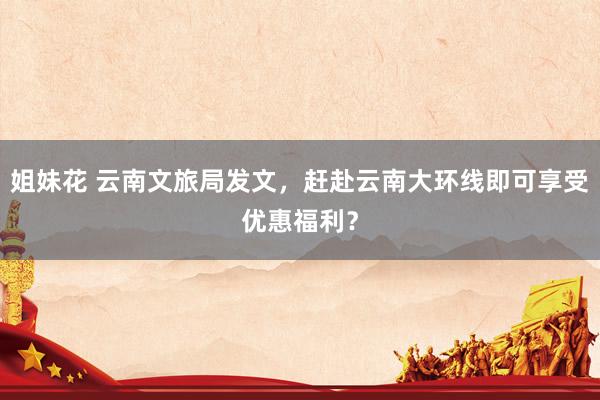 姐妹花 云南文旅局发文，赶赴云南大环线即可享受优惠福利？