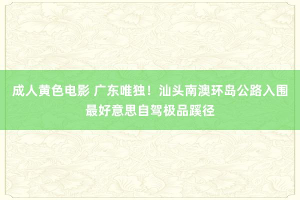 成人黄色电影 广东唯独！汕头南澳环岛公路入围最好意思自驾极品蹊径