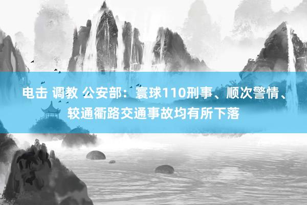 电击 调教 公安部：寰球110刑事、顺次警情、较通衢路交通事故均有所下落