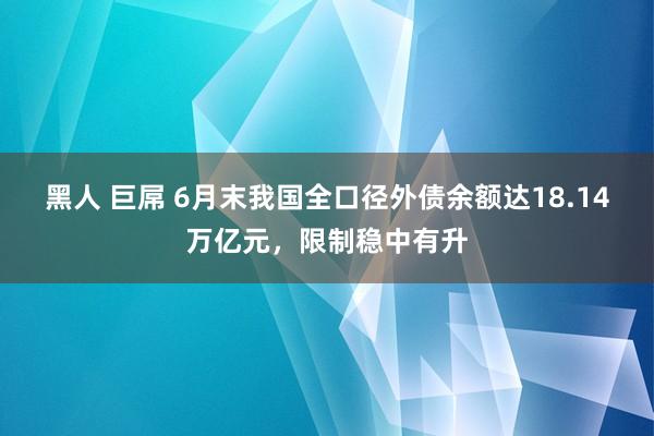 黑人 巨屌 6月末我国全口径外债余额达18.14万亿元，限制稳中有升