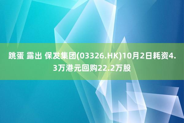 跳蛋 露出 保发集团(03326.HK)10月2日耗资4.3万港元回购22.2万股