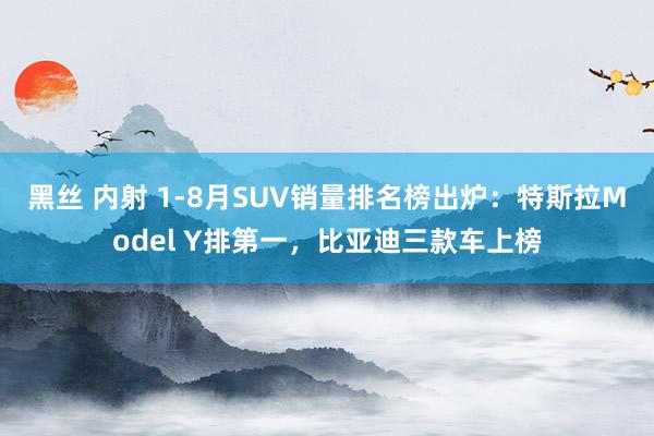 黑丝 内射 1-8月SUV销量排名榜出炉：特斯拉Model Y排第一，比亚迪三款车上榜