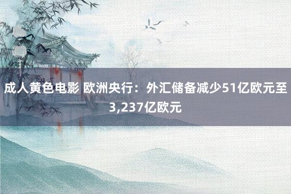 成人黄色电影 欧洲央行：外汇储备减少51亿欧元至3，237亿欧元