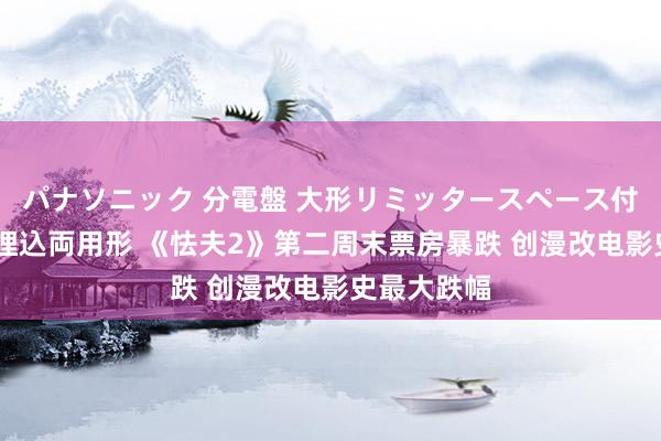パナソニック 分電盤 大形リミッタースペース付 露出・半埋込両用形 《怯夫2》第二周末票房暴跌 创漫改电影史最大跌幅
