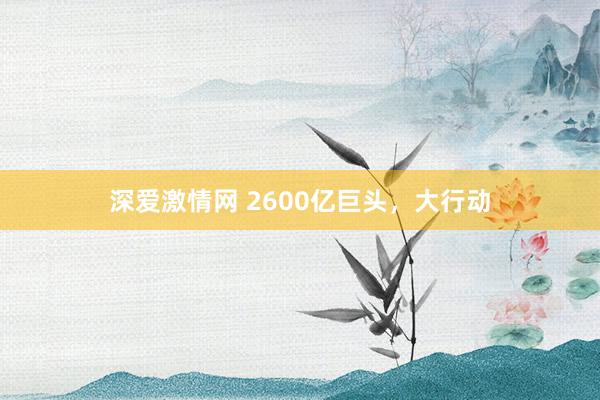 深爱激情网 2600亿巨头，大行动