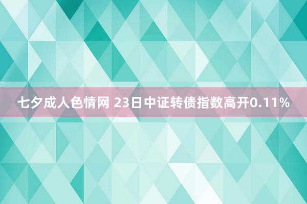 七夕成人色情网 23日中证转债指数高开0.11%