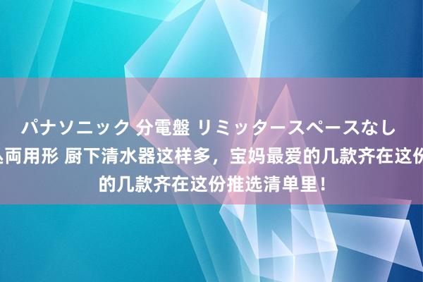 パナソニック 分電盤 リミッタースペースなし 露出・半埋込両用形 厨下清水器这样多，宝妈最爱的几款齐在这份推选清单里！