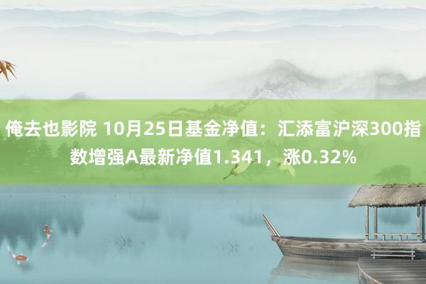 俺去也影院 10月25日基金净值：汇添富沪深300指数增强A最新净值1.341，涨0.32%