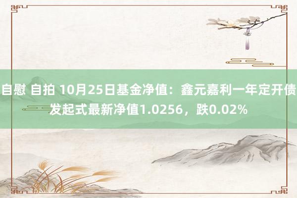 自慰 自拍 10月25日基金净值：鑫元嘉利一年定开债发起式最新净值1.0256，跌0.02%