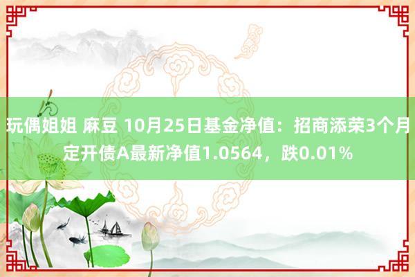 玩偶姐姐 麻豆 10月25日基金净值：招商添荣3个月定开债A最新净值1.0564，跌0.01%