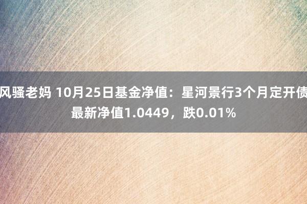 风骚老妈 10月25日基金净值：星河景行3个月定开债最新净值1.0449，跌0.01%