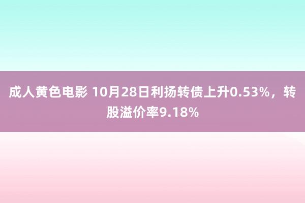 成人黄色电影 10月28日利扬转债上升0.53%，转股溢价率9.18%