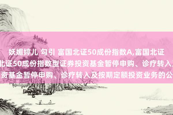 妖媚婷儿 勾引 富国北证50成份指数A，富国北证50成份指数C: 对于富国北证50成份指数型证券投资基金暂停申购、诊疗转入及按期定额投资业务的公告