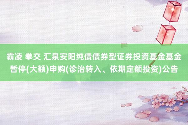 霸凌 拳交 汇泉安阳纯债债券型证券投资基金基金暂停(大额)申购(诊治转入、依期定额投资)公告