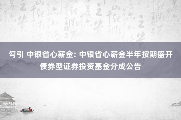 勾引 中银省心薪金: 中银省心薪金半年按期盛开债券型证券投资基金分成公告