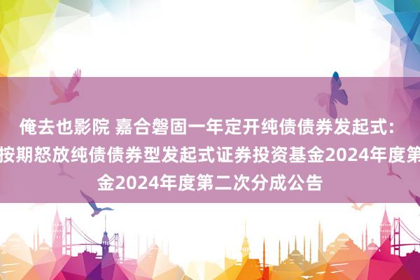 俺去也影院 嘉合磐固一年定开纯债债券发起式: 嘉合磐固一年按期怒放纯债债券型发起式证券投资基金2024年度第二次分成公告