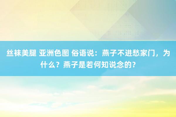 丝袜美腿 亚洲色图 俗语说：燕子不进愁家门，为什么？燕子是若何知说念的？