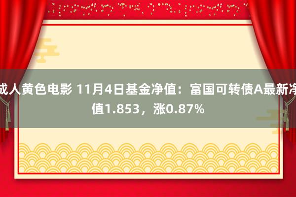 成人黄色电影 11月4日基金净值：富国可转债A最新净值1.853，涨0.87%