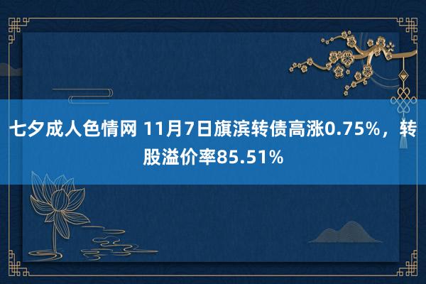 七夕成人色情网 11月7日旗滨转债高涨0.75%，转股溢价率85.51%