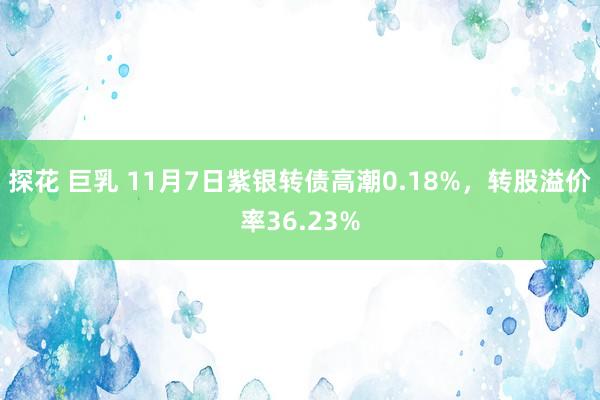 探花 巨乳 11月7日紫银转债高潮0.18%，转股溢价率36.23%