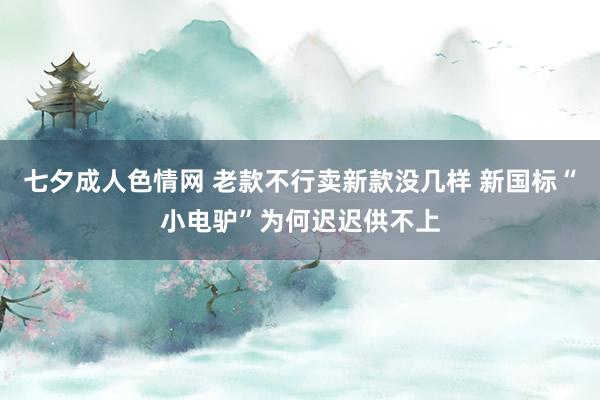 七夕成人色情网 老款不行卖新款没几样 新国标“小电驴”为何迟迟供不上